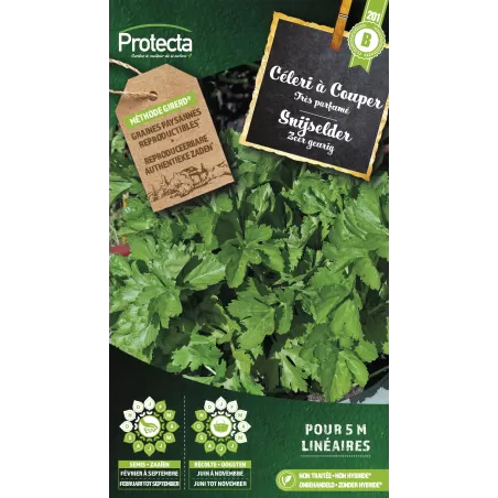 Céleri à Couper - Cat. B - Protecta à 3,65 € -  - SE-POT-00029 - Plantes, Buis & Légumes