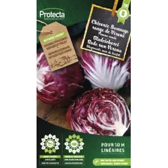 Chicorée sauvage rouge de Vérone - Cat. B - Protecta à 3,65 € -  - SE-POT-00041 - Plantes, Buis & Légumes