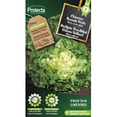 Chicorée frisée Wallonne - Cat. B - Protecta - 3,65 € -  - 5425005398160 - Ornibird SRL