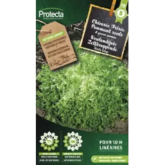 Chicorée frisée grosse pommant seule - Cat. B - Protecta - 3,65 € -  - 5425005398153 - Ornibird SRL