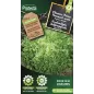 Chicorée frisée grosse pommant seule - Cat. B - Protecta Chicorée frisée grosse pommant seule - Cat. B - Protecta