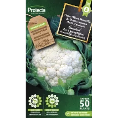 Chou Fleur Merveille de Toutes saisons - Cat. A - Protecta - 2,40 € -  - 5425005398276 - Ornibird SRL