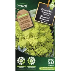 Chou Fleur Romanesco - Cat. B - Protecta - 3,65 € -  - 5425005398283 - Ornibird SRL