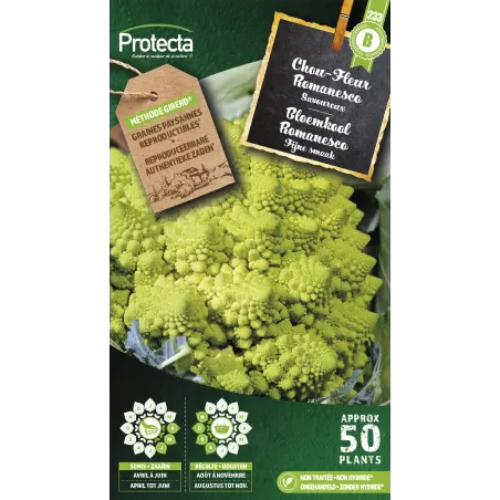Chou Fleur Romanesco - Cat. B - Protecta à 3,65 € - Protecta - SE-POT-00049 - Plantes, Buis & Légumes