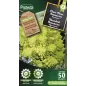 Chou Fleur Romanesco - Cat. B - Protecta