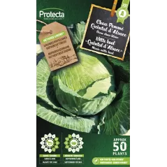 Chou cabus Quintal d'Alsace - Cat. A - Protecta - 2,40 € -  - 5425005399853 - Ornibird SRL