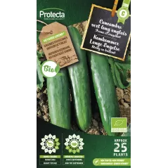 Tanaisie Commune - Cat. A - Protecta - 2,40 € -  - 5425005399952 - Ornibird SRL