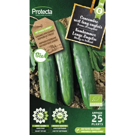 Concombre Vert long anglais FR-BIO-15 - Cat. C - Protecta à 4,80 € - Protecta - SE-POT-00250 - Plantes, Buis & Légumes