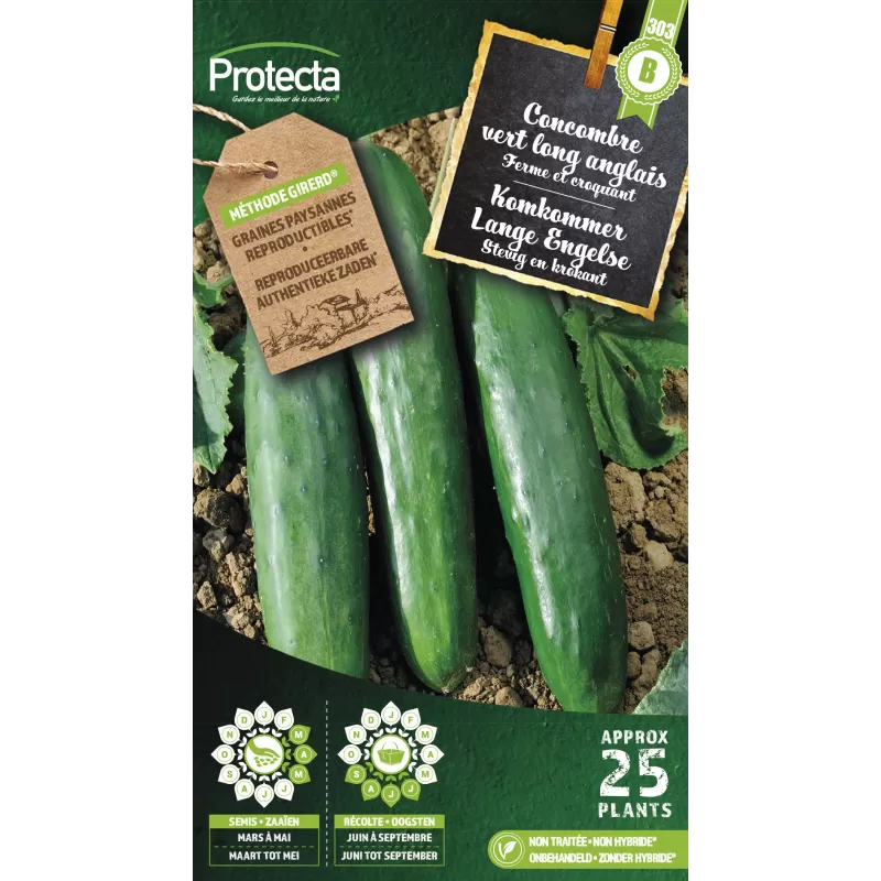 Concombre vert long anglais - Cat.B - Protecta