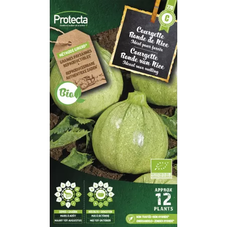 Courgette de Nice à fruit rond FR-BIO-15 - Cat. C - Protecta à 4,80 € - Protecta - SE-POT-00220 - Plantes, Buis & Légumes