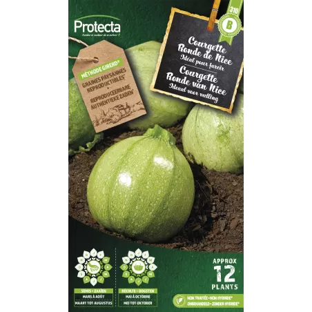 Courgette de Nice à fruit rond - Cat. B - Protecta à 3,65 € - Protecta - SE-POT-00073 - Plantes, Buis & Légumes