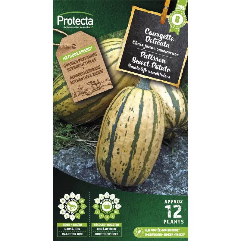 Courgette Delicata - Cat. B - Protecta