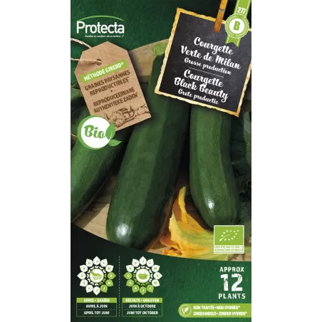 Courgette Black Beauty FR-BIO-15 - Cat. B - Protecta à 3,65 € -  - SE-POT-00192 - Plantes, Buis & Légumes