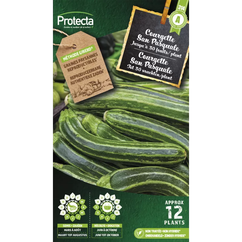 Courgette San Pasquale - Cat. A - Protecta Courgette San Pasquale - Cat. A - Protecta