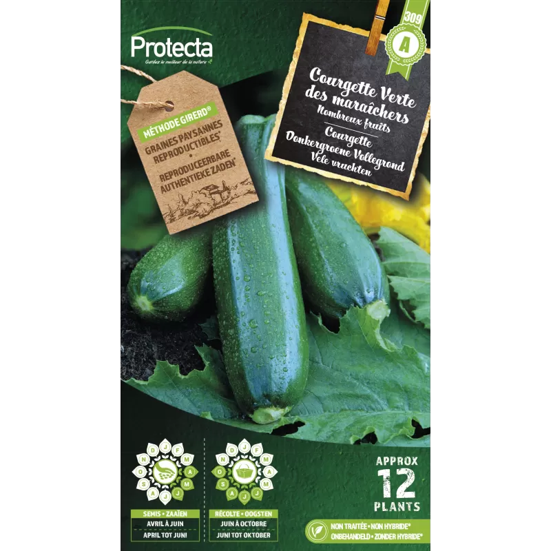 Courgette verte des maraîchers - Cat. A - Protecta