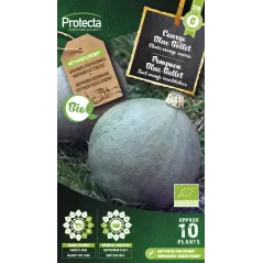 Courge Blue Ballet FR-BIO-15 - Cat. C - Protecta - 4,80 € -  - 5410560007091 - Ornibird SRL