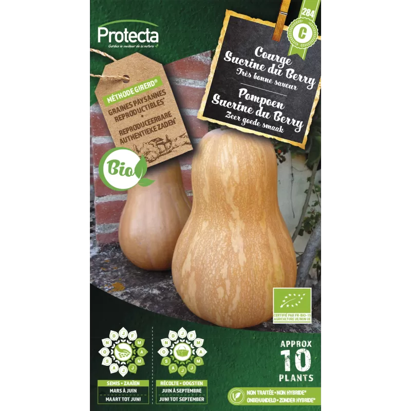Courge Sucrine du Berry FR-BIO-15 - Cat. C- Protecta Courge Sucrine du Berry FR-BIO-15 - Cat. C- Protecta
