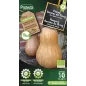 Courge Sucrine du Berry FR-BIO-15 - Cat. C- Protecta Courge Sucrine du Berry FR-BIO-15 - Cat. C- Protecta