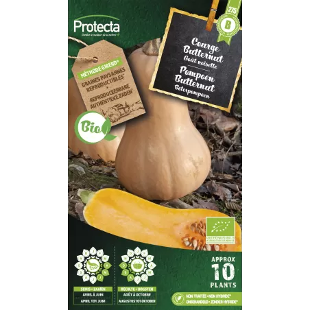 Courge musquée Butternut FR-BIO-15 - Cat. B - Protecta à 3,65 € - Protecta - SE-POT-00191 - Plantes, Buis & Légumes