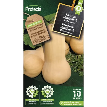 Courge musquée Butternut - Cat.B - Protecta à 3,65 € - Protecta - SE-POT-00069 - Plantes, Buis & Légumes