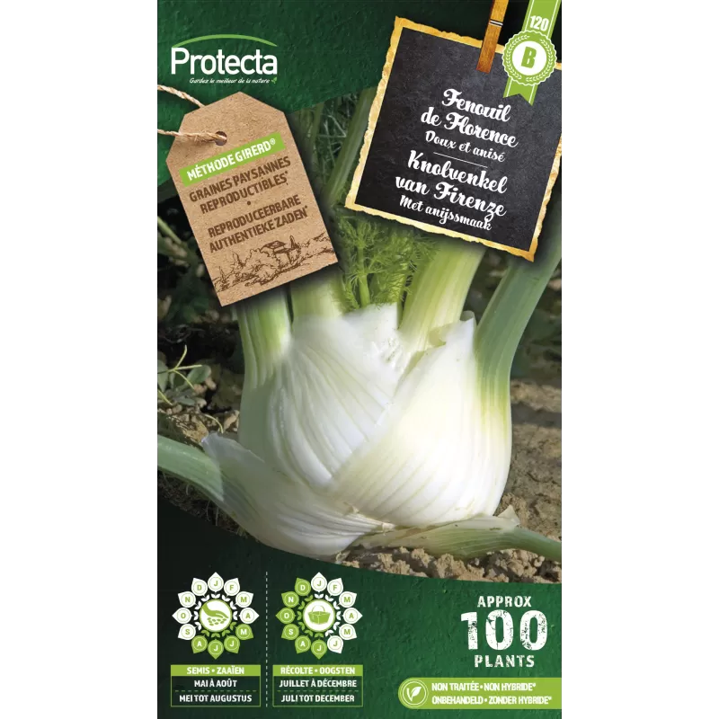 Fenouil doux de Florence - Cat. B - Protecta