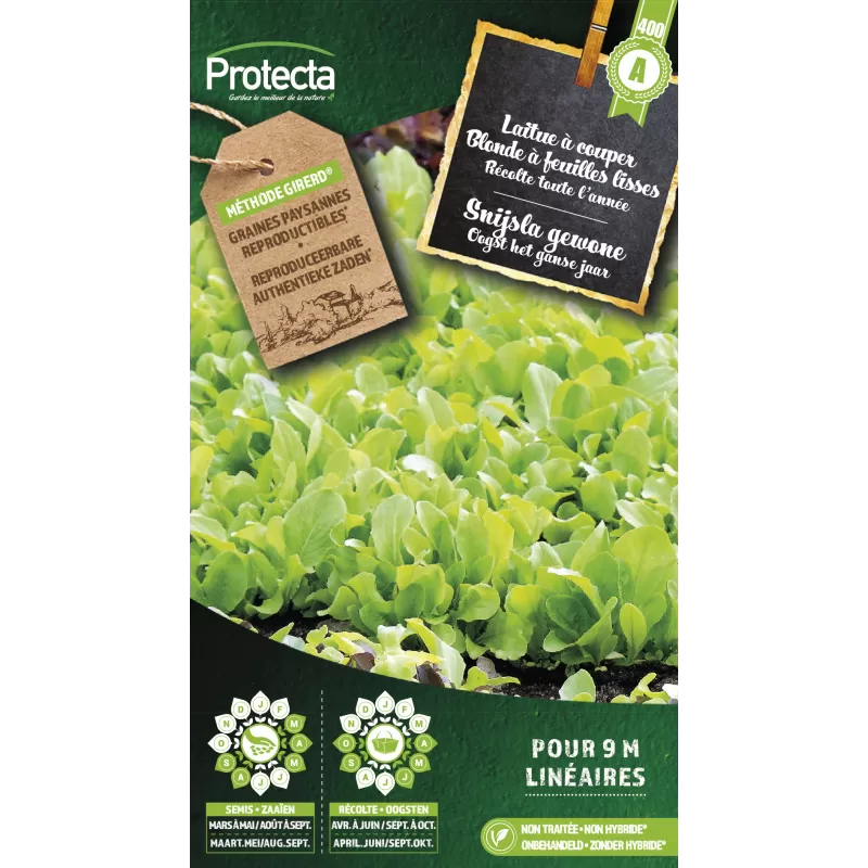 Laitue à couper Blonde à feuilles lisses - Cat. A - Protecta Laitue à couper Blonde à feuilles lisses - Cat. A - Protecta