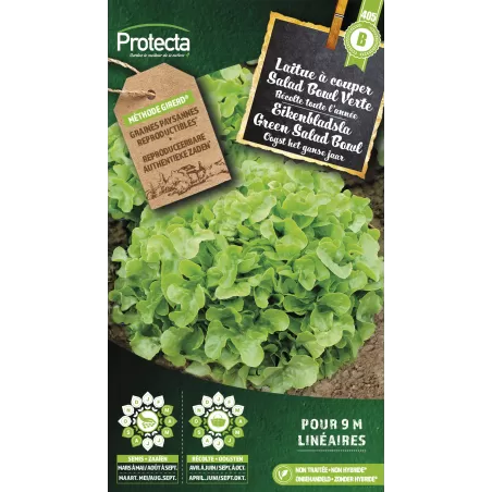Laitue à couper Salad Bowl Verte - Cat.B - Protecta à 3,65 € - Protecta - SE-POT-00109 - Plantes, Buis & Légumes