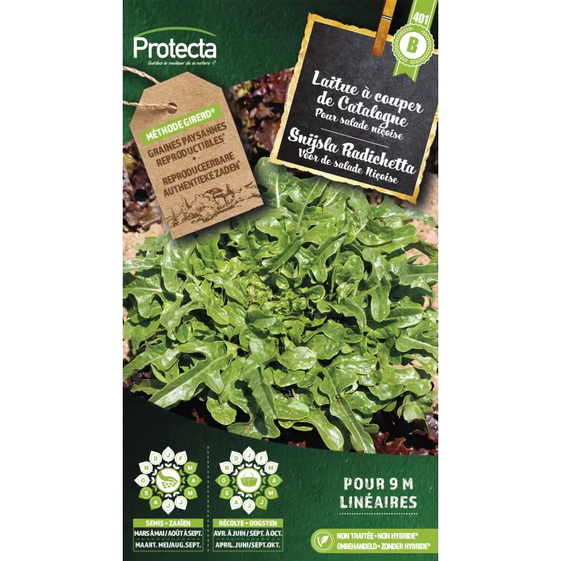 Laitue à couper Radichetta (Type Catalogne verte) - Cat. B - Protecta Laitue à couper Radichetta (Type Catalogne verte) - Cat. B - Protecta
