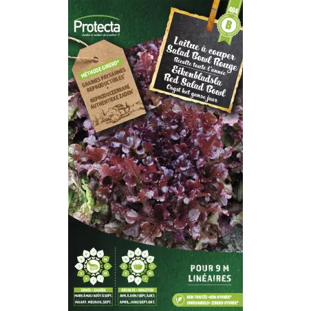 Laitue à couper Red Salad Bowl - Cat. B - Protecta à 3,65 € - Protecta - SE-POT-00108 - Plantes, Buis & Légumes