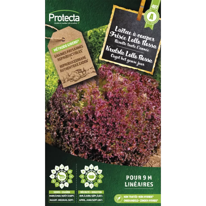 Laitue à couper frisée Lollo Rossa - Cat. A - Protecta