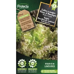 Laitue à couper frisée d'Amérique - Cat. A - Protecta - 2,40 € -  - 5425005399884 - Ornibird SRL