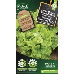 Laitue Batavia Blonde de Paris - Cat.A - Protecta - 2,40 € -  - 5425005398504 - Ornibird SRL