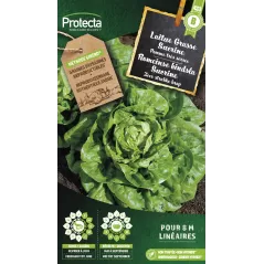 Laitue Romaine Sucrine - Cat. B - Protecta à 3,65 € - Protecta - SE-POT-00125 - Plantes, Buis & Légumes