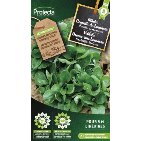 Mâche Coquille de Louviers - Cat. A - Protecta à 2,40 € - Protecta - SE-POT-00084 - Plantes, Buis & Légumes