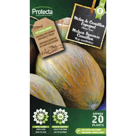 Melon de Cavaillon Espagnol à chair rose - Cat. C - Protecta à 4,80 € - Protecta - SE-POT-00008 - Plantes, Buis & Légumes