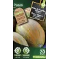 Melon de Cavaillon Espagnol à chair rose - Cat. C - Protecta Melon de Cavaillon Espagnol à chair rose - Cat. C - Protecta