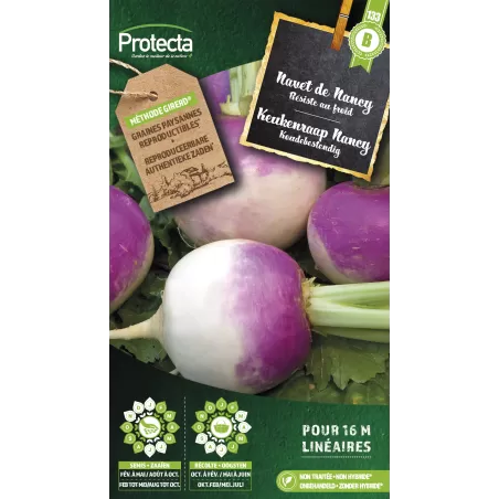 Navet de Nancy à feuille entière - Cat. B - Protecta à 3,65 € -  - SE-POT-00014 - Plantes, Buis & Légumes