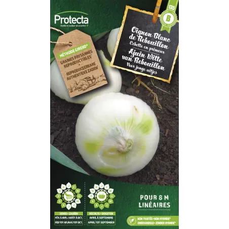 Oignon Blanc de Rebouillon - Cat. B - Protecta à 3,65 € - Protecta - SE-POT-00016 - Plantes, Buis & Légumes
