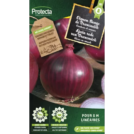 Oignon rouge de Brunswick - Cat. A - Protecta à 2,40 € -  - SE-POT-00143 - Plantes, Buis & Légumes