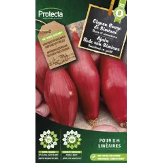Oignon rouge de Simiane - Cat. B - Protecta à 3,65 € - Protecta - SE-POT-00076 - Plantes, Buis & Légumes