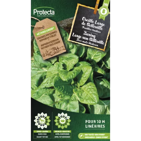 Oseille Large de Belleville - Cat. B - Protecta à 3,65 € - Protecta - SE-POT-00138 - Plantes, Buis & Légumes