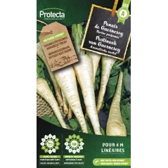 Panais demi-long de Guernesey - Cat. A - Protecta à 2,40 € -  - SE-POT-00077 - Plantes, Buis & Légumes