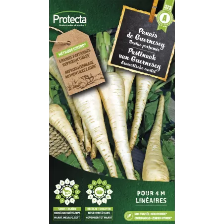 Panais demi-long de Guernesey - Cat. A - Protecta à 2,40 € - Protecta - SE-POT-00077 - Plantes, Buis & Légumes