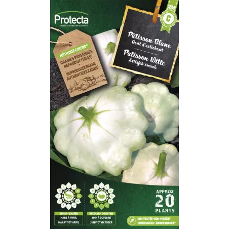 Pâtisson blanc - Cat. C - Protecta à 4,80 € - Protecta - SE-POT-00127 - Plantes, Buis & Légumes