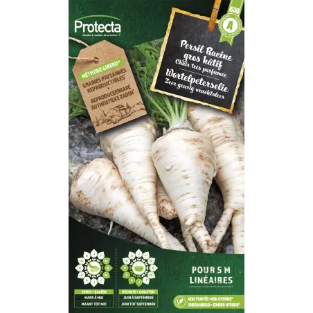 Persil Racine gros hâtif - Cat. A - Protecta à 2,40 € -  - SE-POT-00166 - Plantes, Buis & Légumes