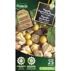 Physalis peruviana Coqueret du Pérou - Cat. B - Protecta à 3,65 € -  - SE-POT-00160 - Plantes, Buis & Légumes