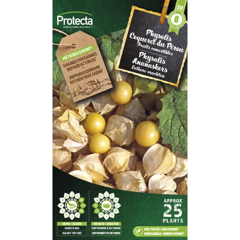 Physalis peruviana Coqueret du Pérou - Cat. B - Protecta