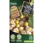 Physalis peruviana Coqueret du Pérou - Cat. B - Protecta