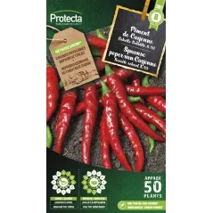 Piment de Cayenne - Cat. B - Protecta à 3,65 € -  - SE-POT-00097 - Plantes, Buis & Légumes