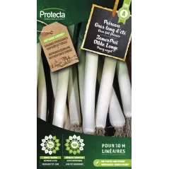 Persil Frisé vert fonçé - Cat. A - Protecta - 2,40 € -  - 5425005399471 - Ornibird SRL